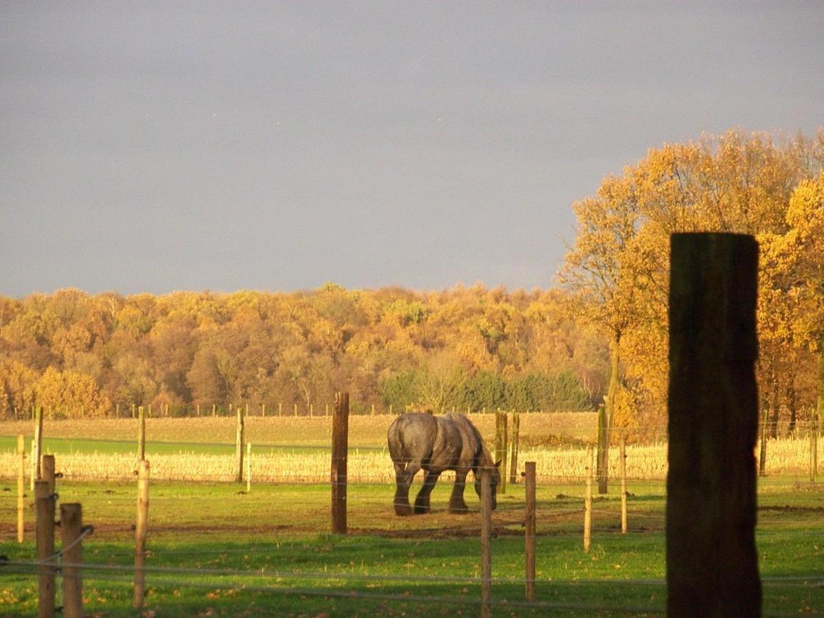 De Blauwe Maaten Neerglabbeek Exterior foto