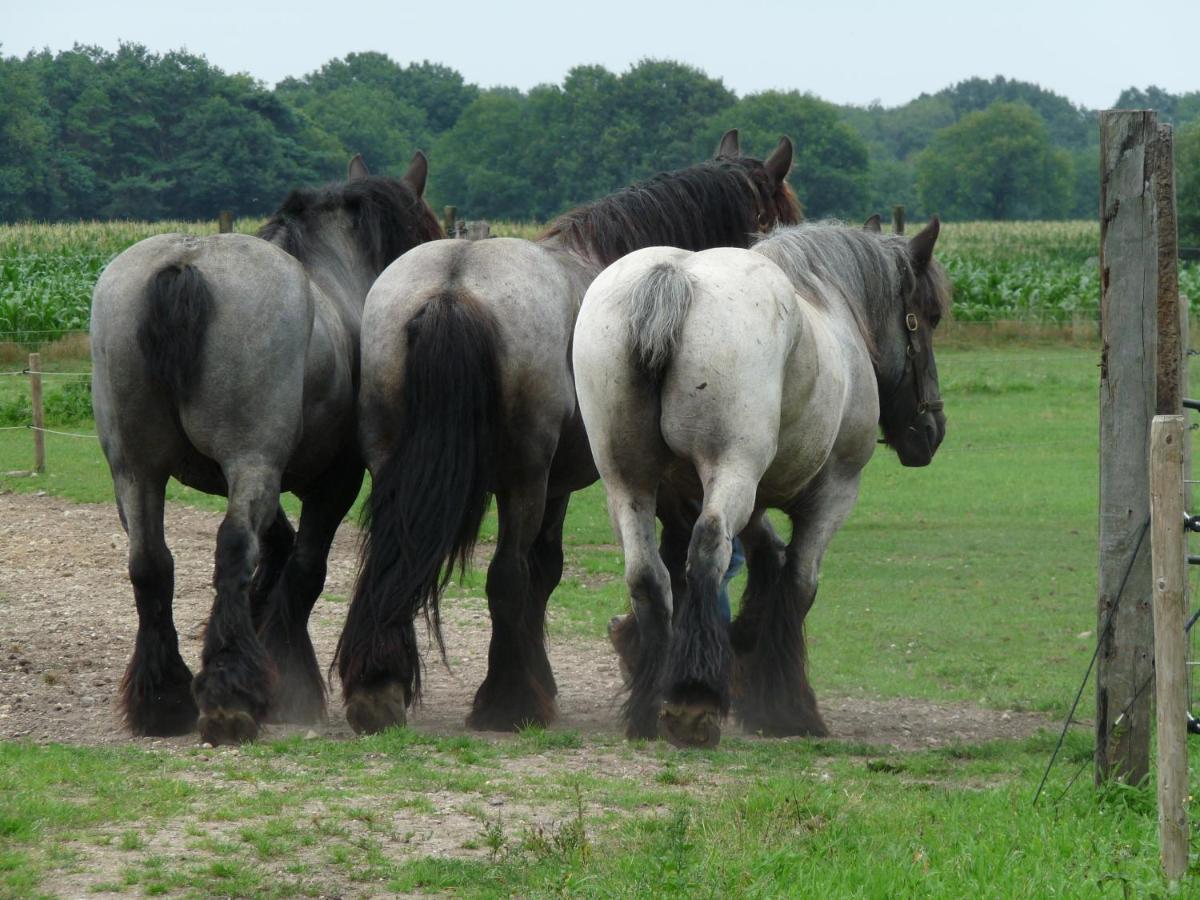 De Blauwe Maaten Neerglabbeek Exterior foto