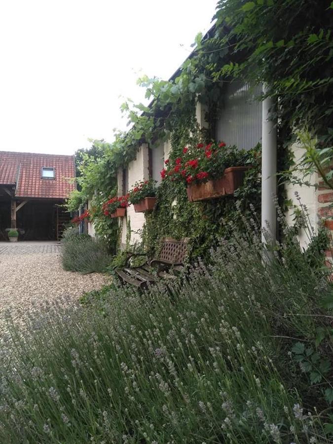 De Blauwe Maaten Neerglabbeek Exterior foto